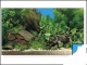 Detail vrobku: Pozad sladkovodn rostliny a kameny oboustrann   (15m)   