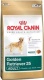 Detail vrobku: Royal Canin ZLAT RETRIEVER JUNIOR 12 kg