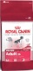 Detail vrobku: Royal Canin MEDIUM ADULT 4 kg